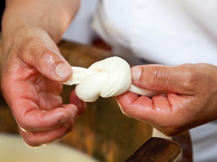 mozzarella gastronomic tour